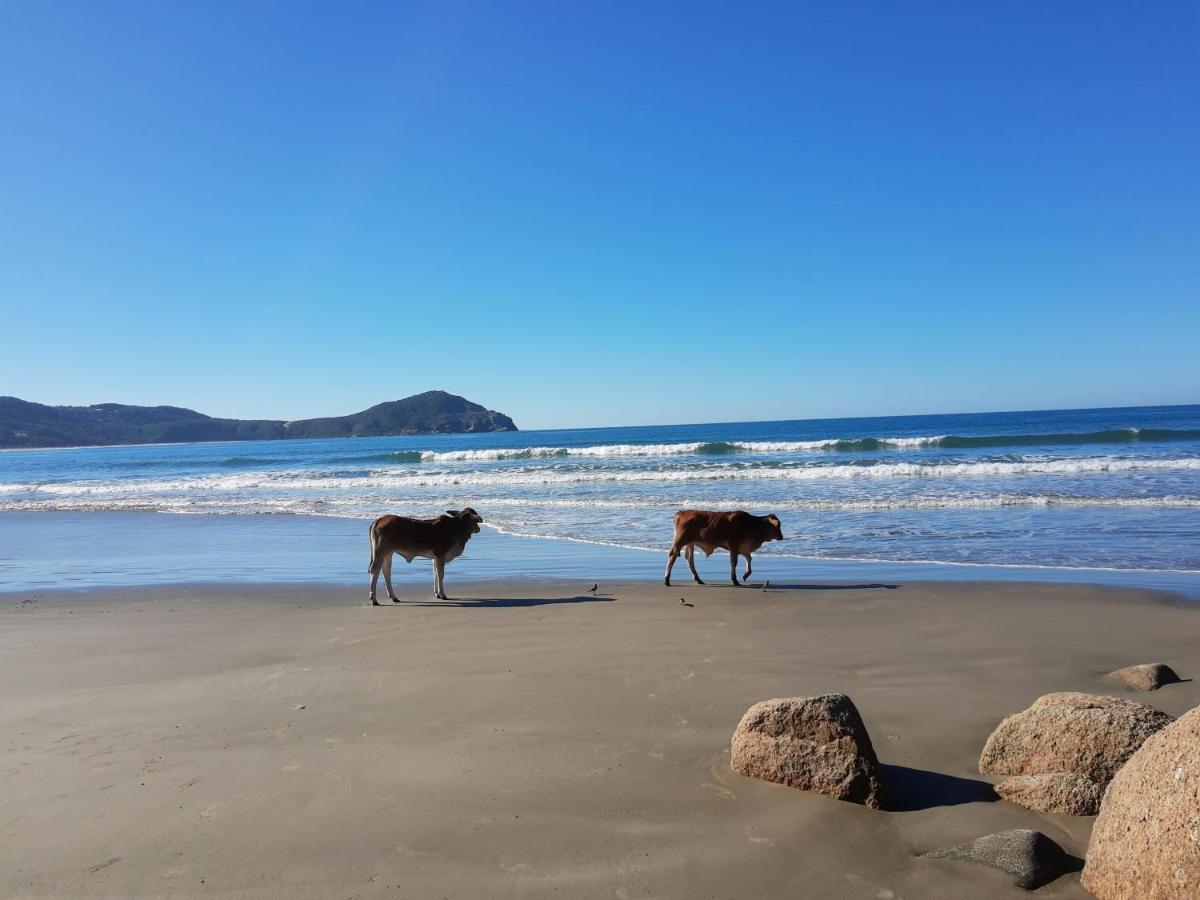 Pousada Gopak Praia do Rosa Kültér fotó