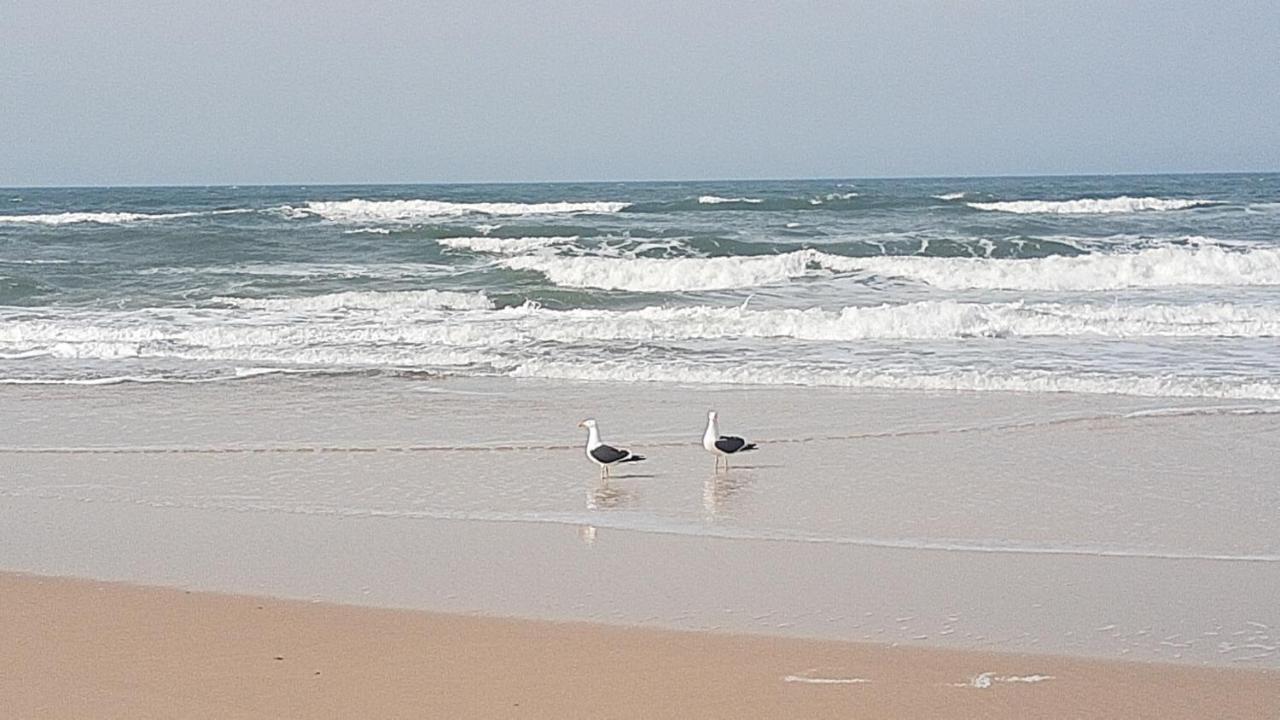 Pousada Gopak Praia do Rosa Kültér fotó